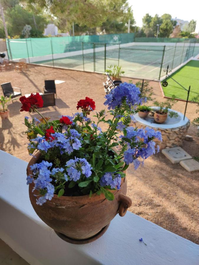 Beach And Tennis San José Екстериор снимка